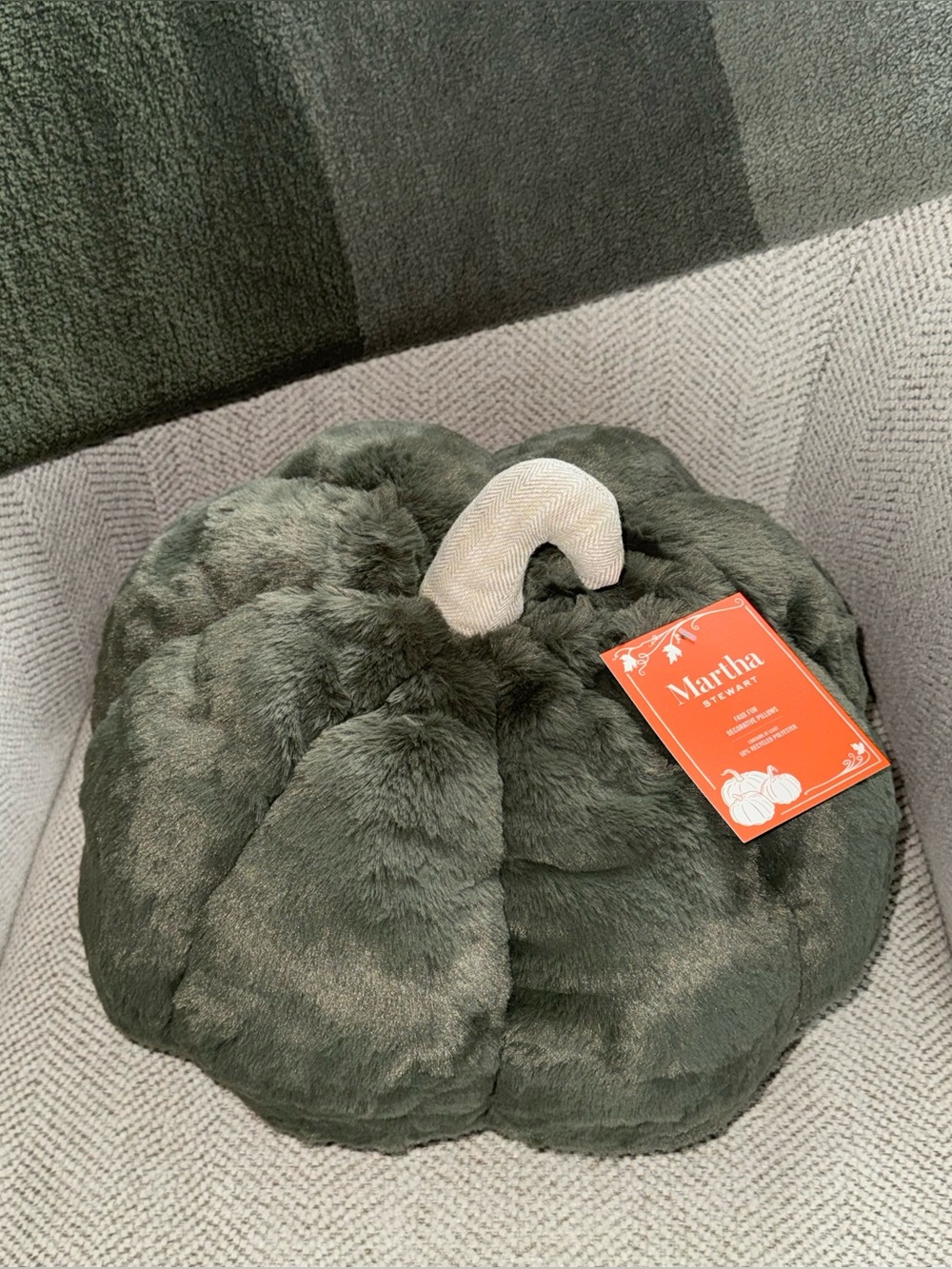 Martha Stewart Autumn Harvest Decorative Pumpkin Pillow